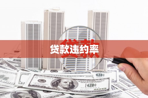 姚安贷款违约率