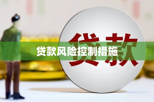 姚安贷款风险控制措施