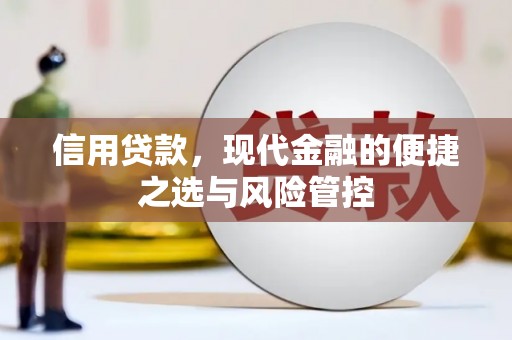 姚安信用贷款，现代金融的便捷之选与风险管控