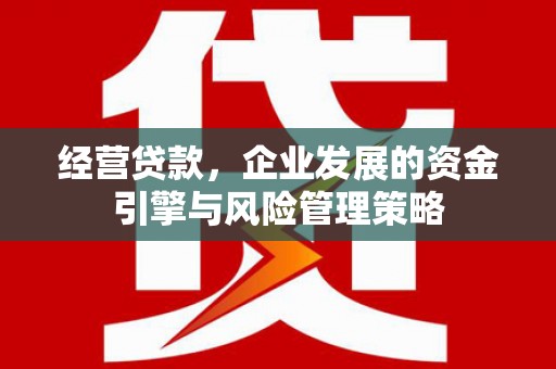 姚安经营贷款，企业发展的资金引擎与风险管理策略