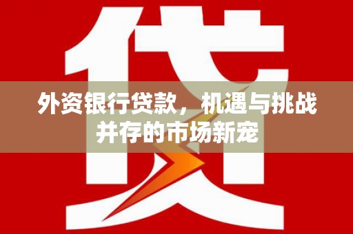 姚安外资银行贷款，机遇与挑战并存的市场新宠
