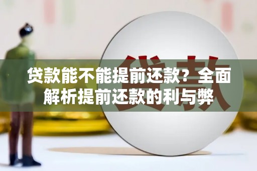 姚安贷款能不能提前还款？全面解析提前还款的利与弊