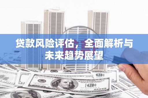 姚安贷款风险评估，全面解析与未来趋势展望