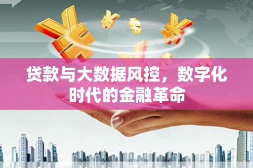 姚安贷款与大数据风控，数字化时代的金融革命