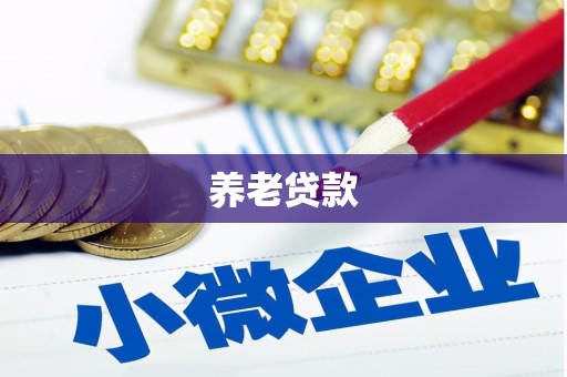 姚安养老贷款