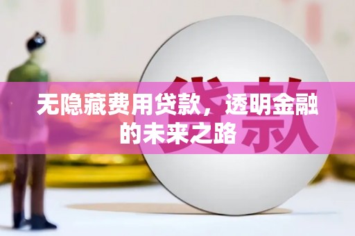 姚安无隐藏费用贷款，透明金融的未来之路