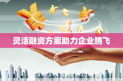 姚安灵活融资方案助力企业腾飞