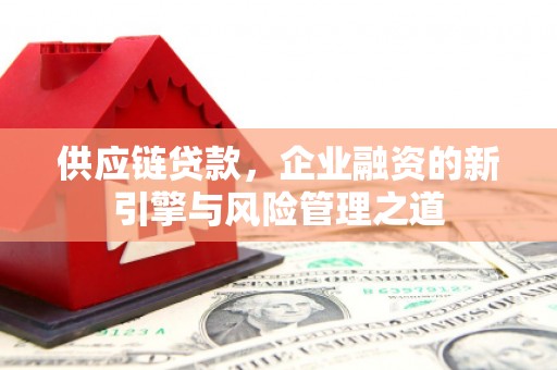 姚安供应链贷款，企业融资的新引擎与风险管理之道