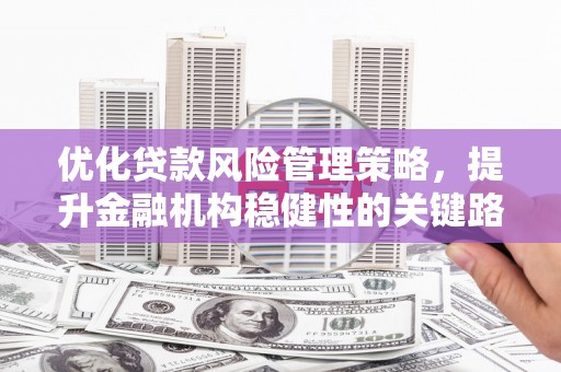 姚安优化贷款风险管理策略，提升金融机构稳健性的关键路径