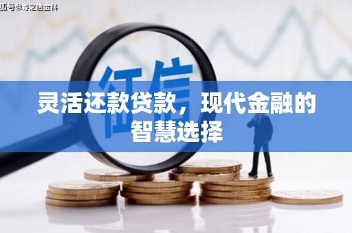 姚安灵活还款贷款，现代金融的智慧选择