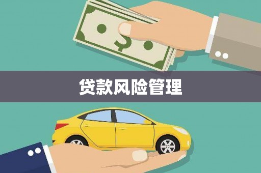 姚安贷款风险管理