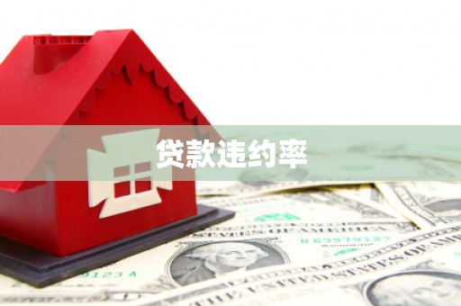 姚安贷款违约率
