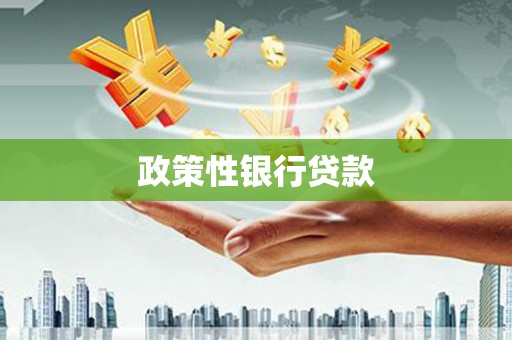 姚安政策性银行贷款