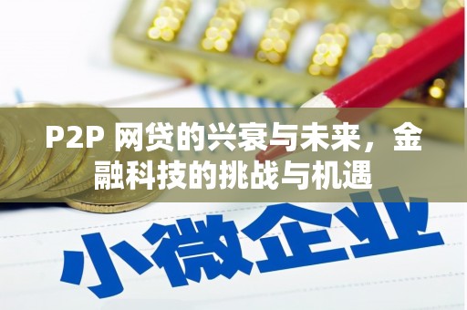 姚安P2P 网贷的兴衰与未来，金融科技的挑战与机遇