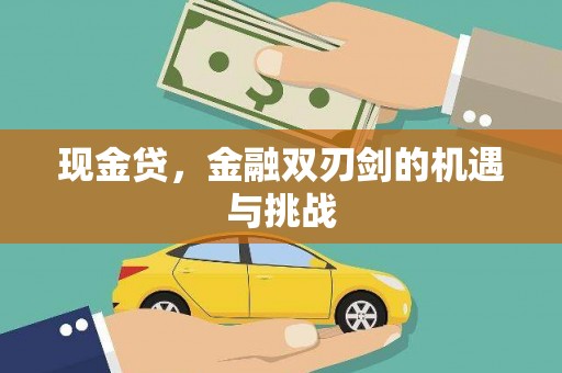 姚安现金贷，金融双刃剑的机遇与挑战