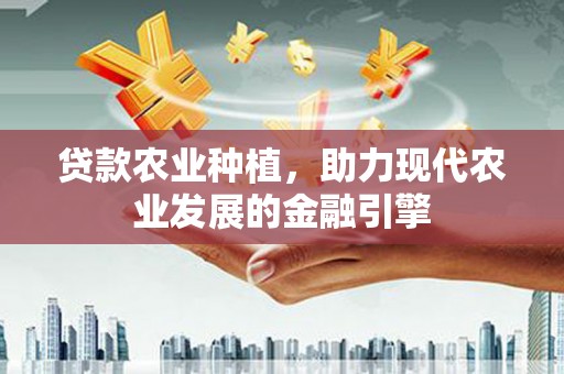 姚安贷款农业种植，助力现代农业发展的金融引擎