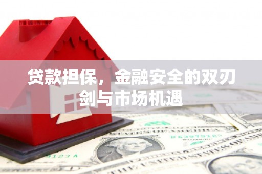 姚安贷款担保，金融安全的双刃剑与市场机遇