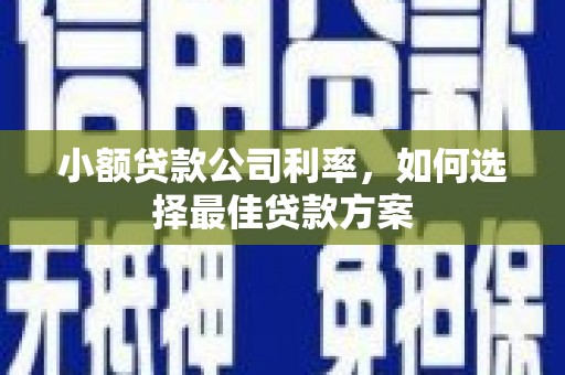 姚安小额贷款公司利率，如何选择最佳贷款方案
