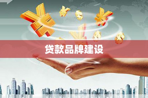 姚安贷款品牌建设