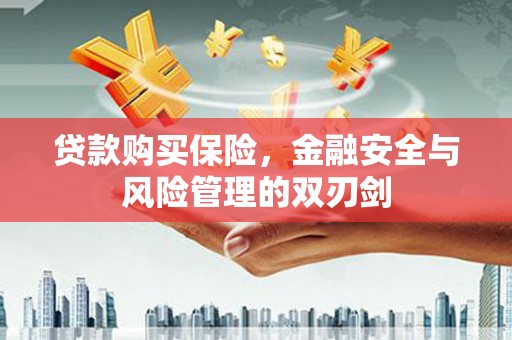姚安贷款购买保险，金融安全与风险管理的双刃剑