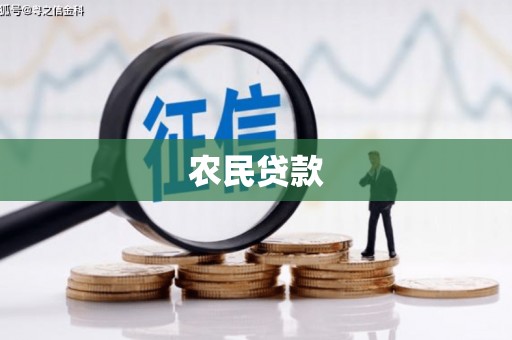 姚安农民贷款