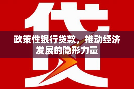 姚安政策性银行贷款，推动经济发展的隐形力量