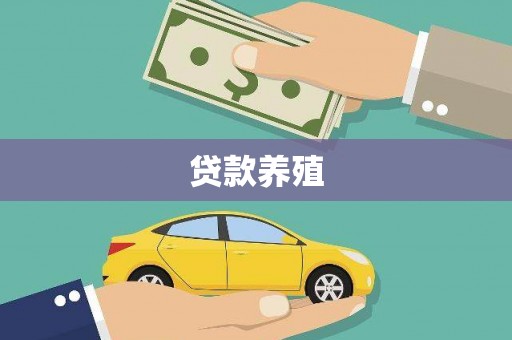 姚安贷款养殖