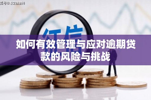 姚安如何有效管理与应对逾期贷款的风险与挑战