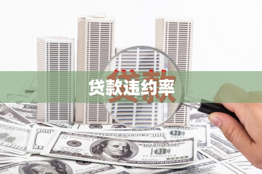 姚安贷款违约率