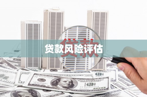 姚安贷款风险评估