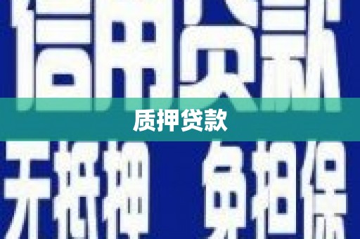 姚安质押贷款
