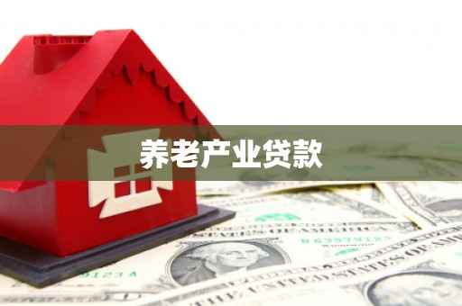 姚安养老产业贷款