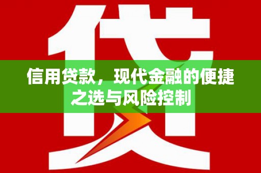 姚安信用贷款，现代金融的便捷之选与风险控制