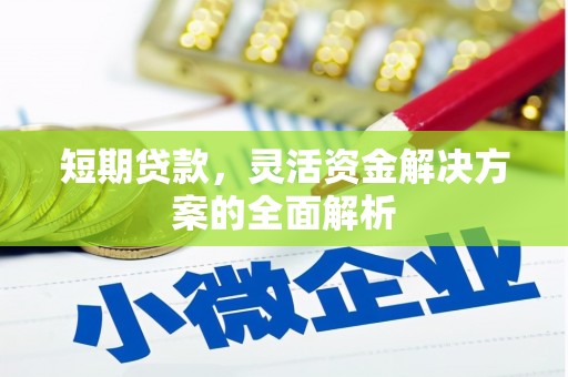 姚安短期贷款，灵活资金解决方案的全面解析