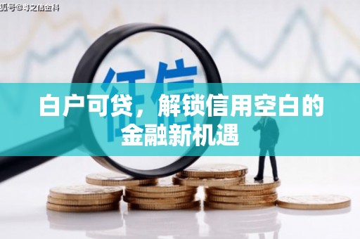 姚安白户可贷，解锁信用空白的金融新机遇