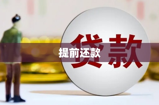 姚安提前还款