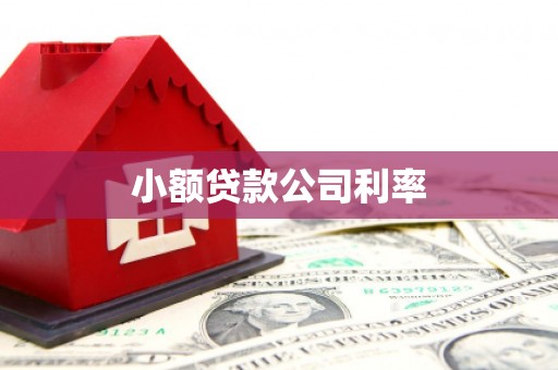 姚安小额贷款公司利率