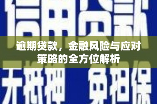 姚安逾期贷款，金融风险与应对策略的全方位解析
