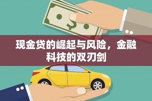 姚安现金贷的崛起与风险，金融科技的双刃剑