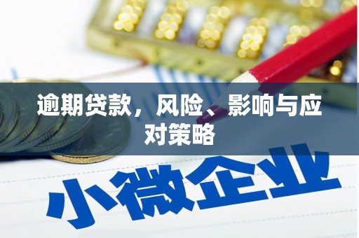 姚安逾期贷款，风险、影响与应对策略