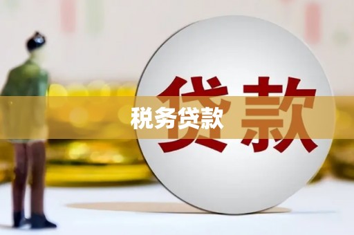 姚安税务贷款
