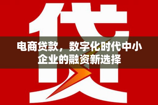 姚安电商贷款，数字化时代中小企业的融资新选择