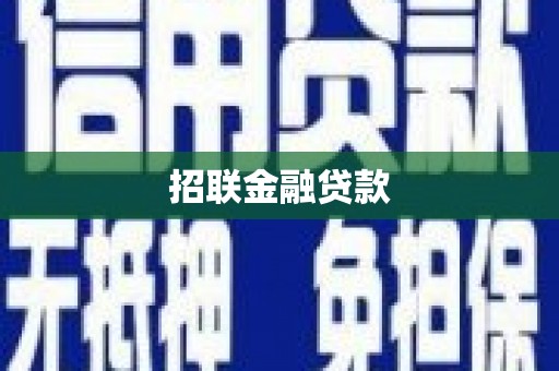 姚安招联金融贷款