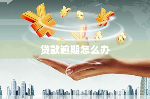 姚安贷款逾期怎么办