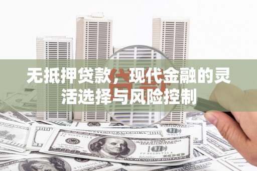 姚安无抵押贷款，现代金融的灵活选择与风险控制