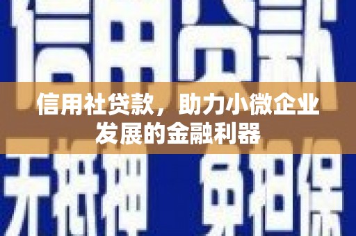 姚安信用社贷款，助力小微企业发展的金融利器
