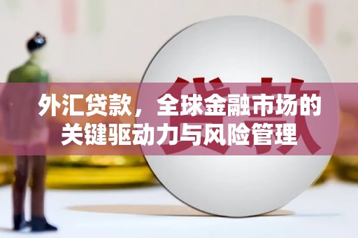 姚安外汇贷款，全球金融市场的关键驱动力与风险管理