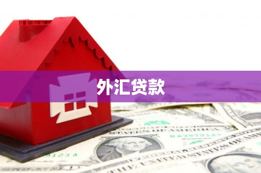 姚安外汇贷款