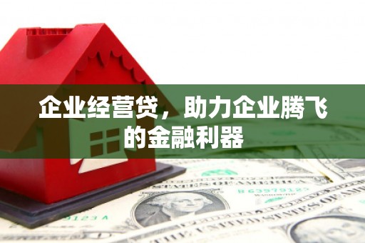 姚安企业经营贷，助力企业腾飞的金融利器