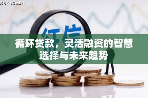 姚安循环贷款，灵活融资的智慧选择与未来趋势